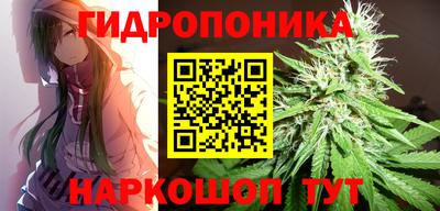 стафф Бердск