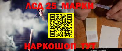 стафф Бердск