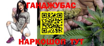 стафф Бердск