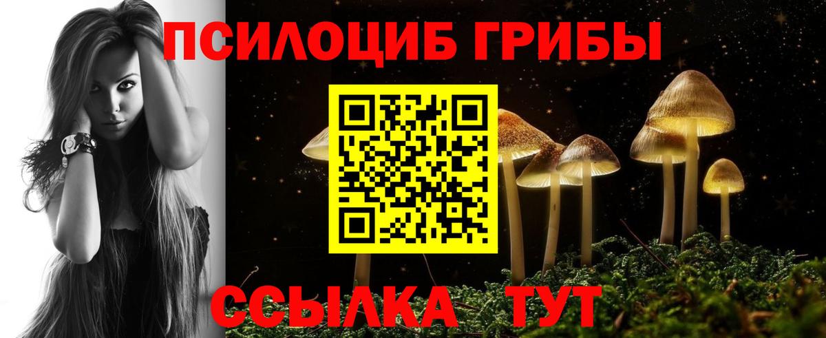 Галлюциногенные грибы прущие грибы  Вход с VPN  Псилоцибиновые грибы MAGIC MUSHROOMS  купить  цена  Жигулёвск 