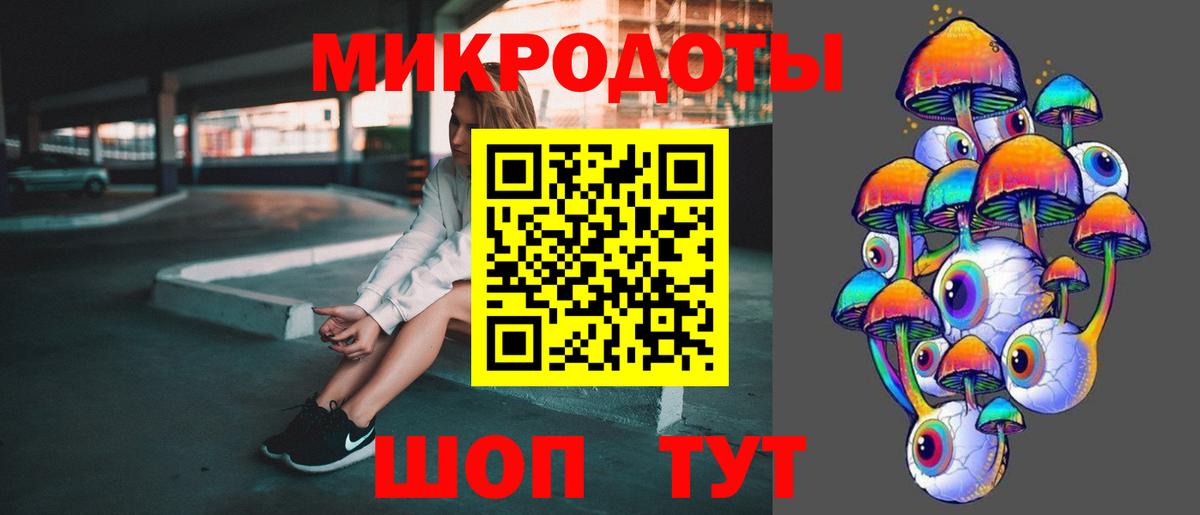 Псилоцибиновые грибы Psilocybe Жигулёвск